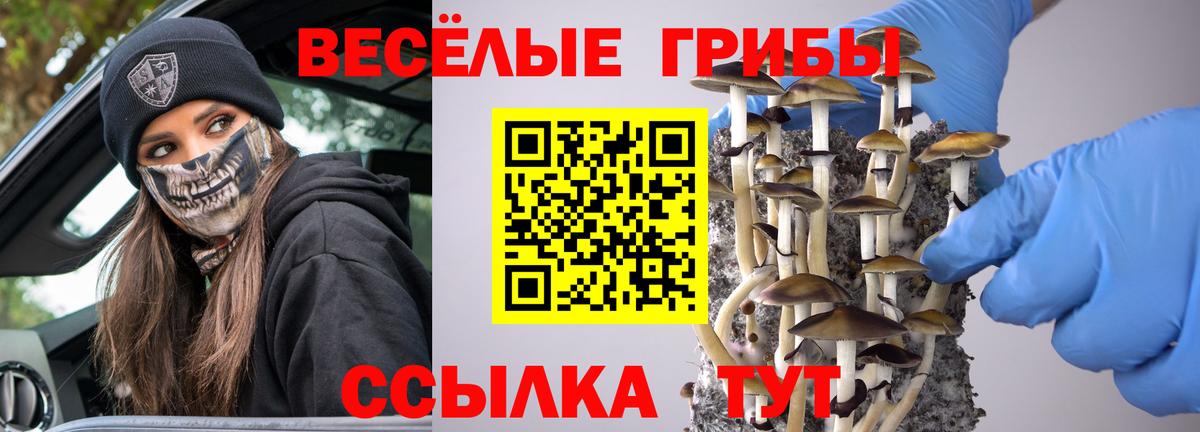 Галлюциногенные грибы Magic Shrooms Бор