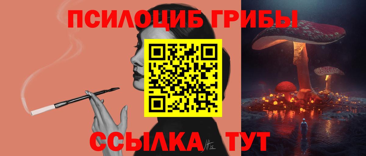 Галлюциногенные грибы Psilocybe  Вход с VPN  Бор  Псилоцибиновые грибы Psilocybine cubensis 
