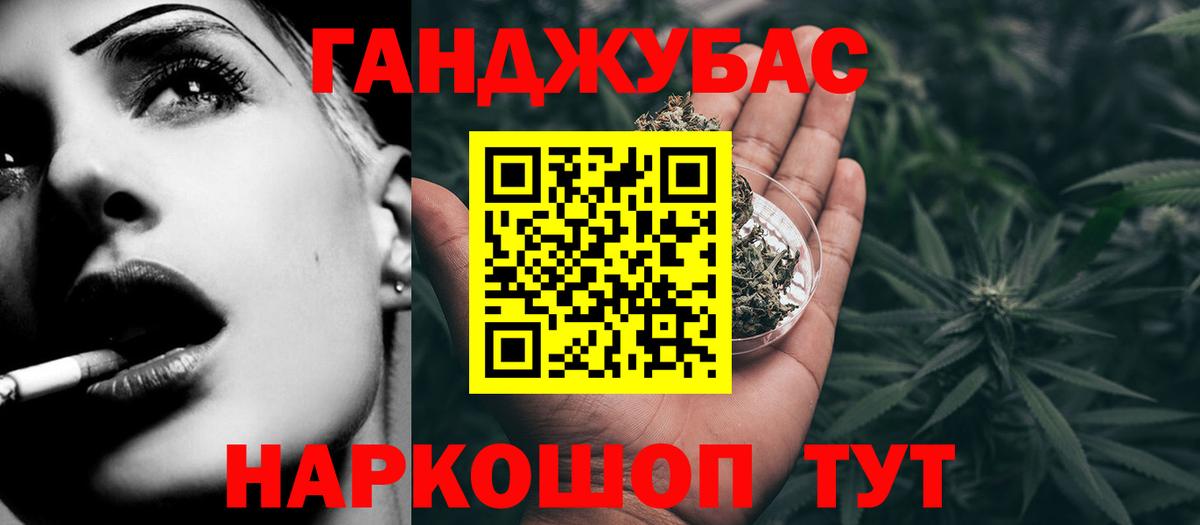 Бошки Шишки план Бор